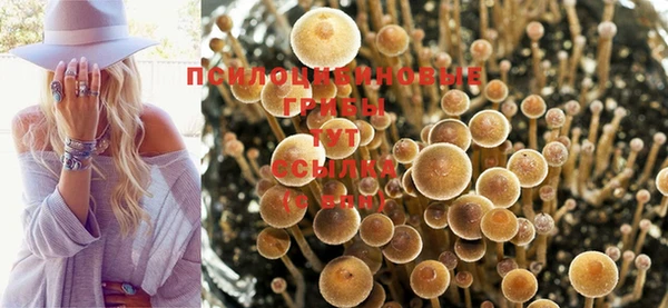 марихуана Магадан