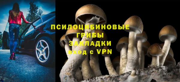 метадон Магас