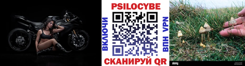 Купить  Омск  Галлюциногенные грибы мухоморы 